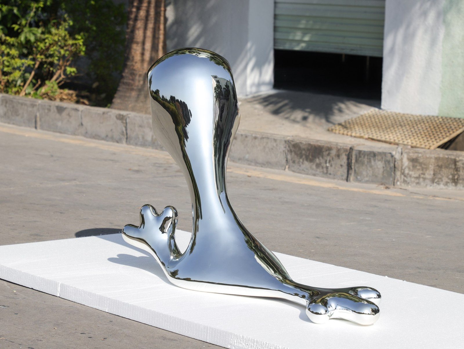 Rear view of the reflective organic display sculpture