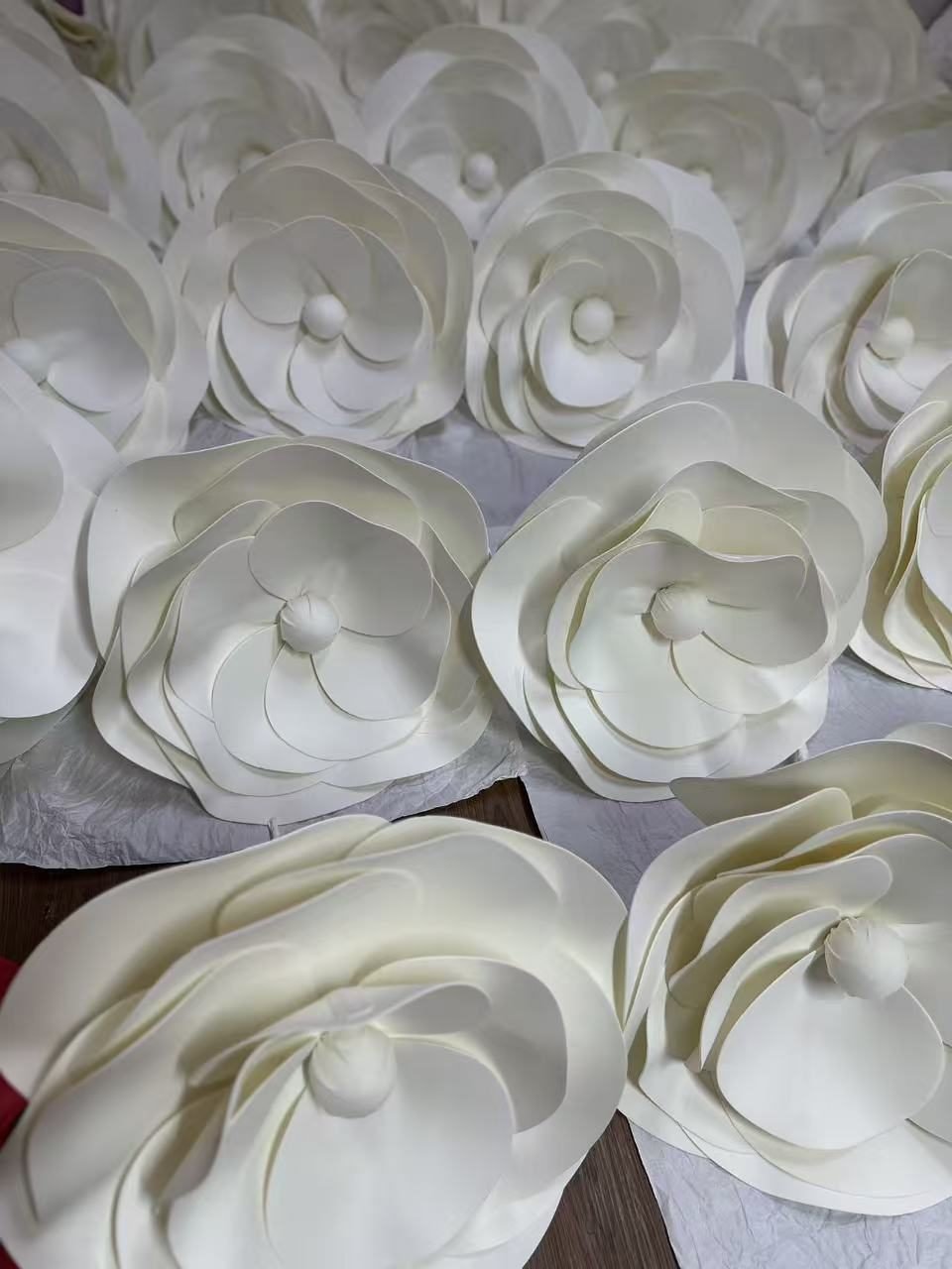 Layered petals of oversized white display flowers