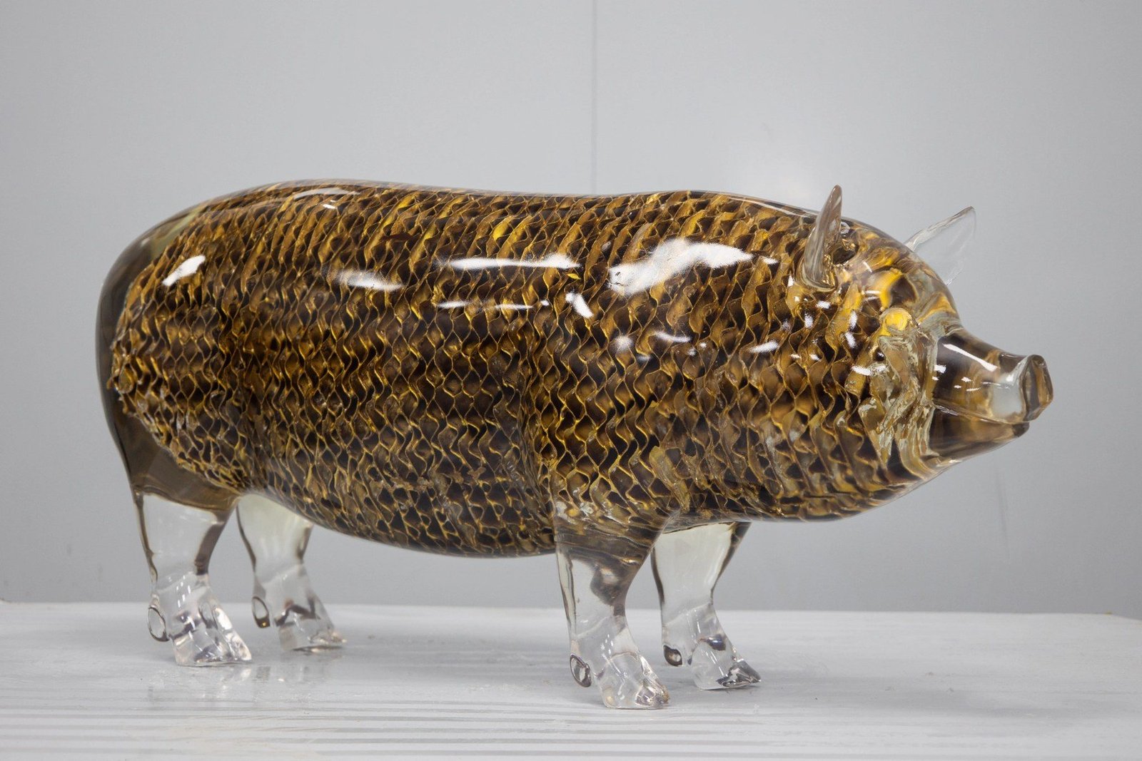 Side view of the transparent pig and patterned interior