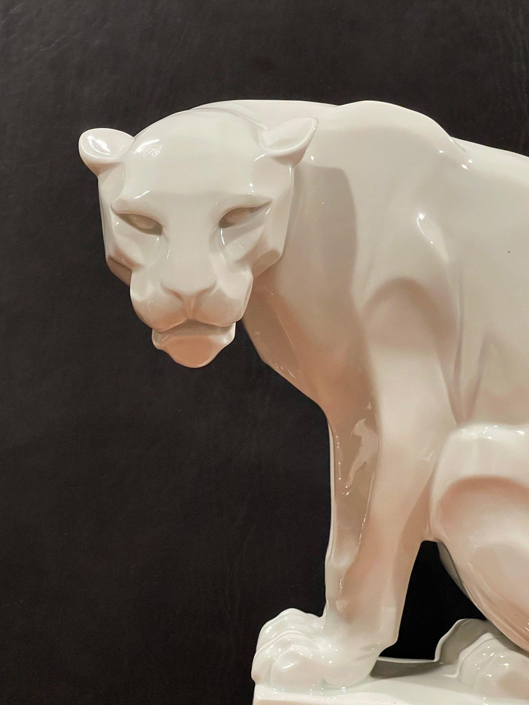 Close view of the white panther head and front legs